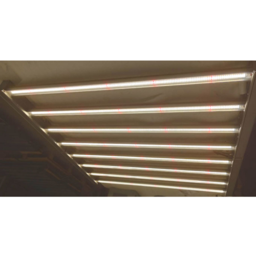 Grolys - SunLight LED grolys