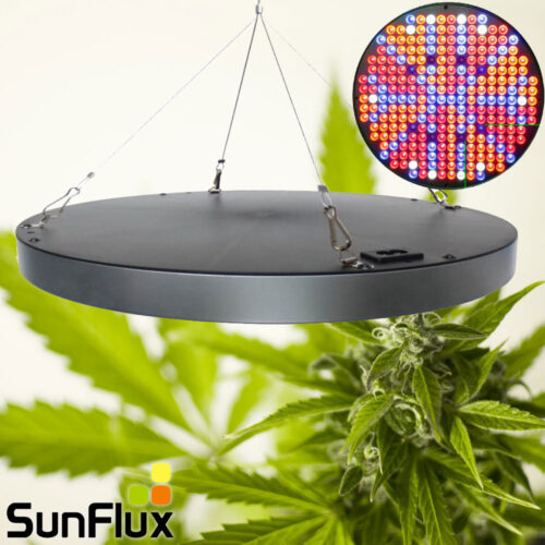 Rund grolys pendel lampe 50w