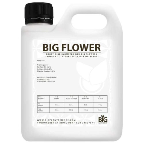 BIG FLOWERS – indhold og vejledning