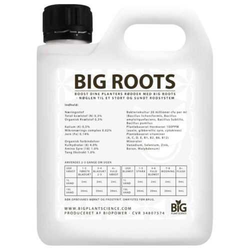 BIG ROOTS – indhold og vejledning