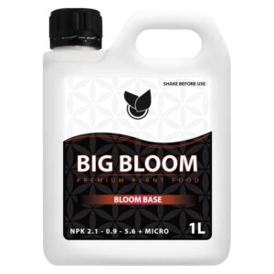 BIG BLOOM: Fremhæv din plantes blomstring med effektiv gødning