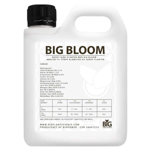 BIG BLOOM – indhold og vejledning
