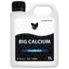 BIG Calcium: Lynhurtig Optagelse for Maksimal Styrke