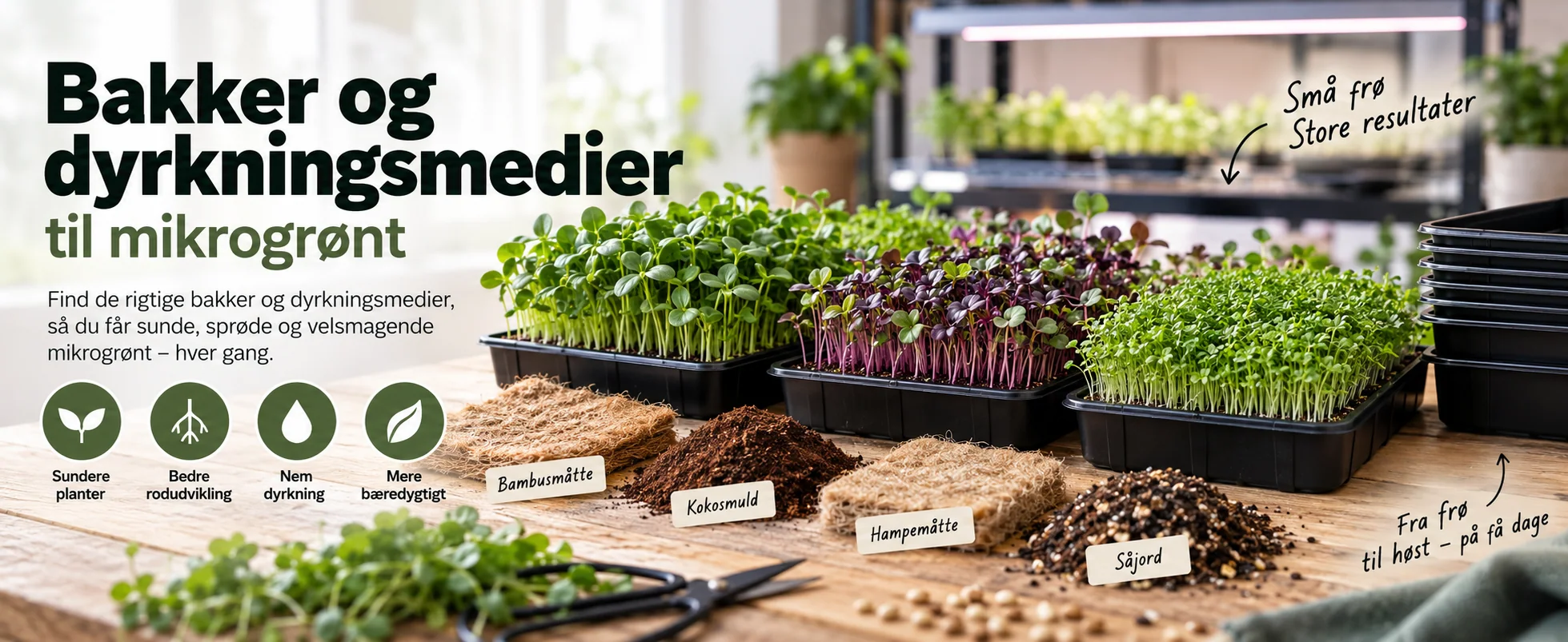 Bakker, dyrkningsmåtter og kokosmuld til mikrogrønt