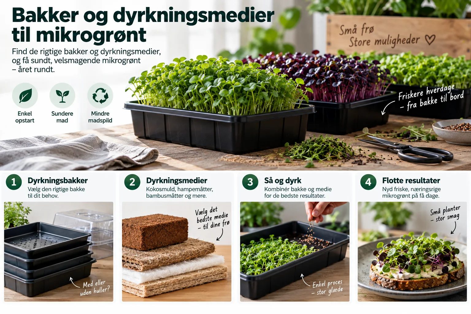 Guide til mikrogrønt fra bakke til bord
