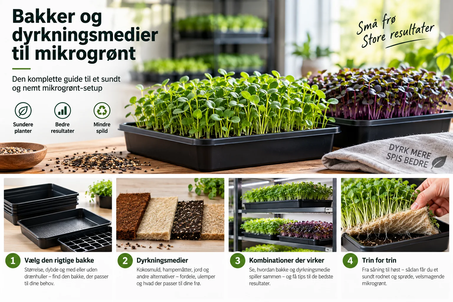 Illustration af valg af bakker og dyrkningsmedier til mikrogrønt
