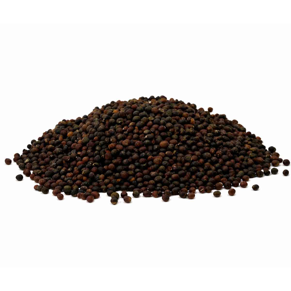 Kale black tuscany - sort palmekål ØKO - Billede 2