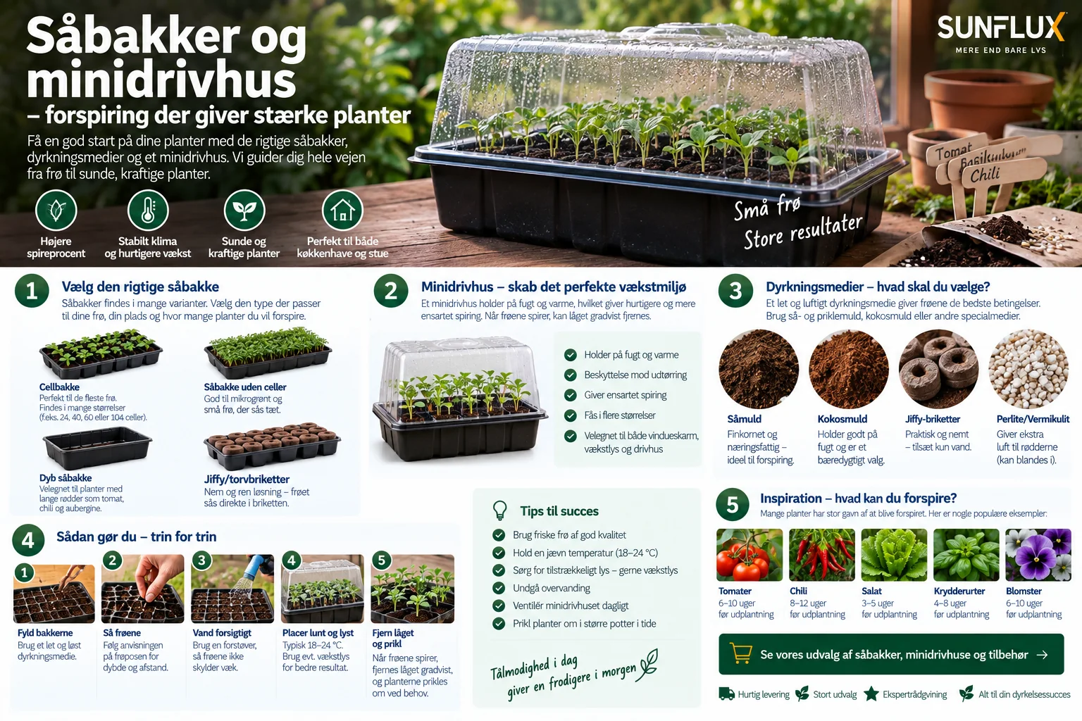 Illustreret dyrkningsguide til stærke planter i såbakker og minidrivhus