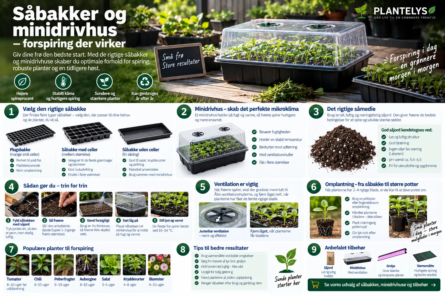 Infografik om forspiring i såbakker og minidrivhus