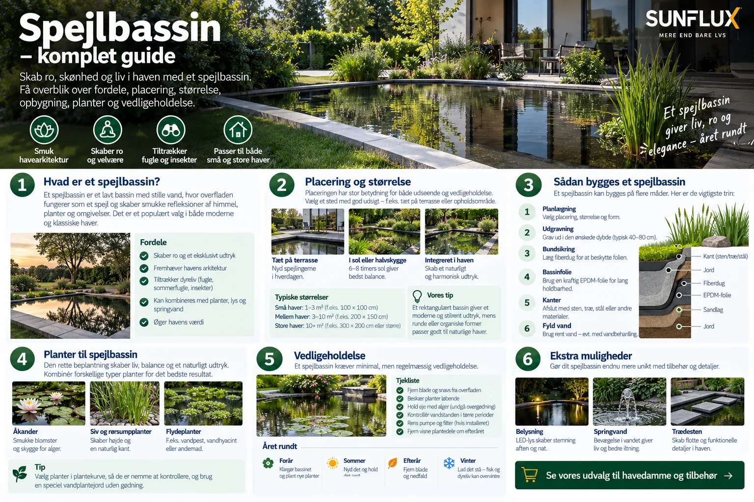 Illustrerad guide till placering, anläggning, växter och skötsel av spegelbassäng