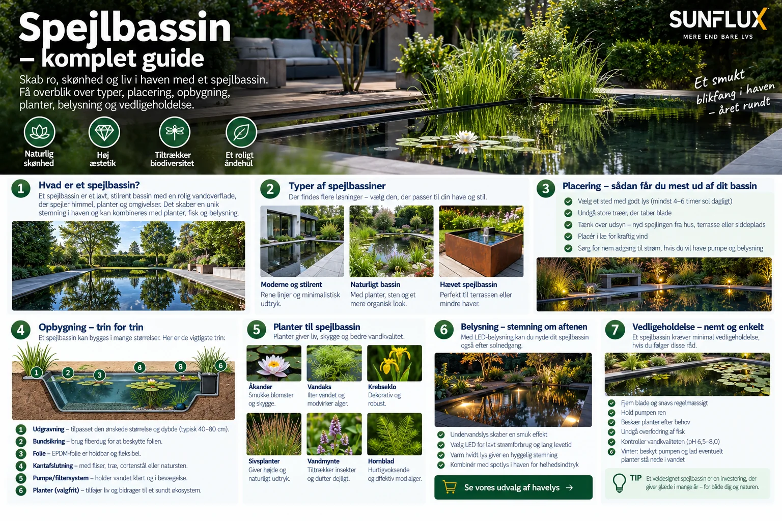 Infografik om olika typer av spegelbassänger, deras placering, utformning och växtplantering