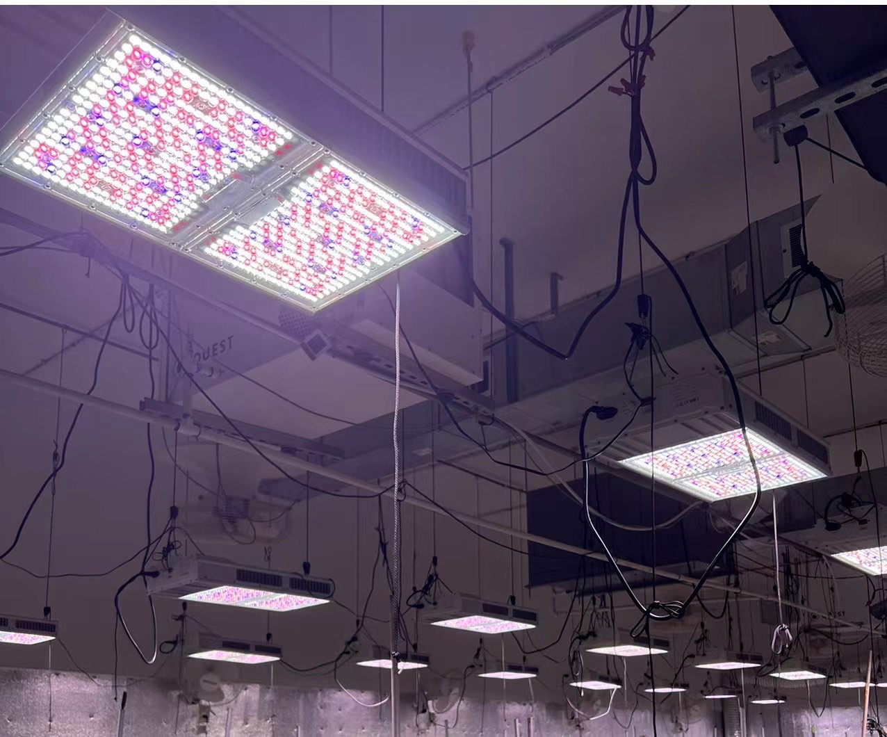 SunLight LED grolys 800 W fuldspektrum, IP65