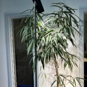 Stående spot grolys 30 W – justerbar plantelampe