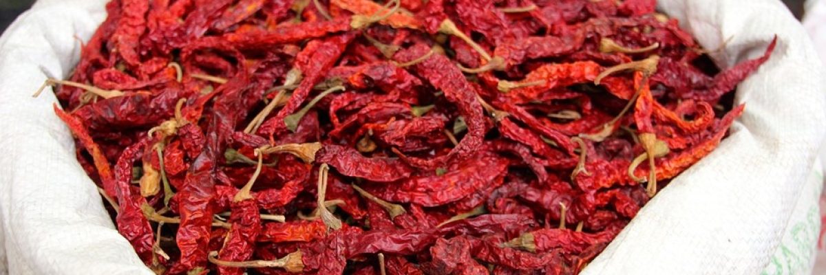 chili frugter tørret